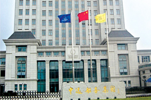 COSCO Shipping Engineering Group