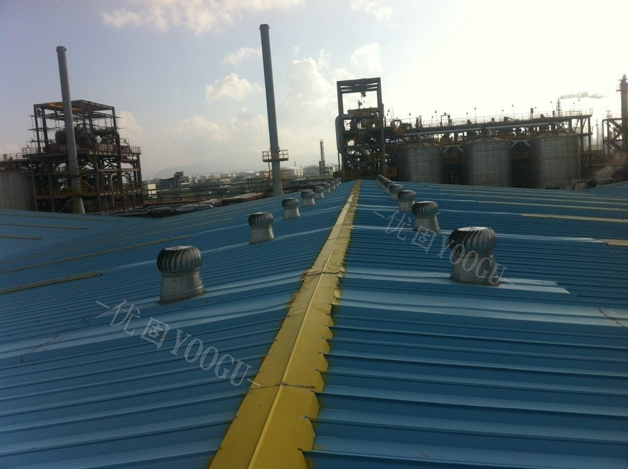 Actual photos before construction